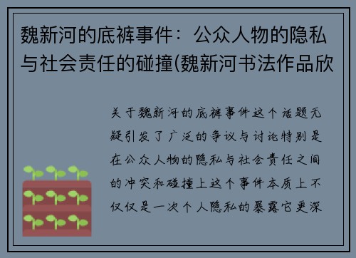 魏新河的底裤事件：公众人物的隐私与社会责任的碰撞(魏新河书法作品欣赏)
