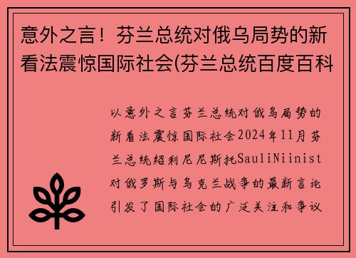 意外之言！芬兰总统对俄乌局势的新看法震惊国际社会(芬兰总统百度百科)