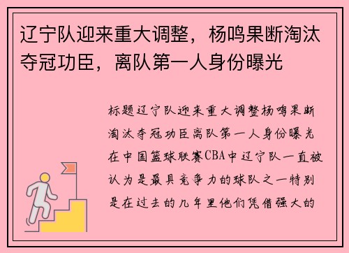 辽宁队迎来重大调整，杨鸣果断淘汰夺冠功臣，离队第一人身份曝光